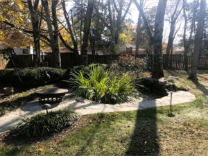 DML water garden and stone path