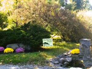 DML stone mailbox with business sign and fall mums edit